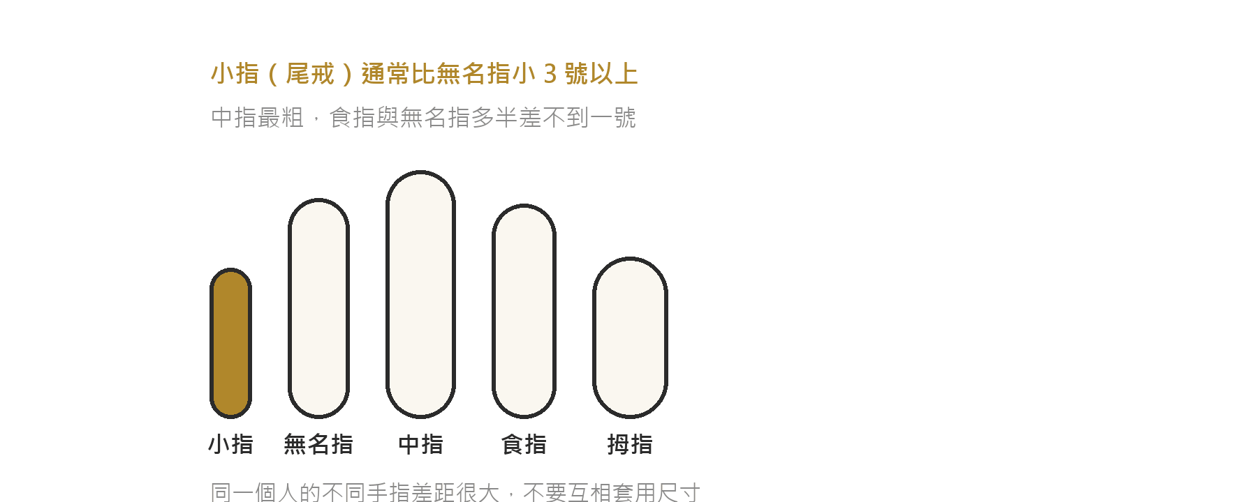 各手指粗細差異示意圖：中指最粗，小指戴的尾戒通常比無名指小三號以上