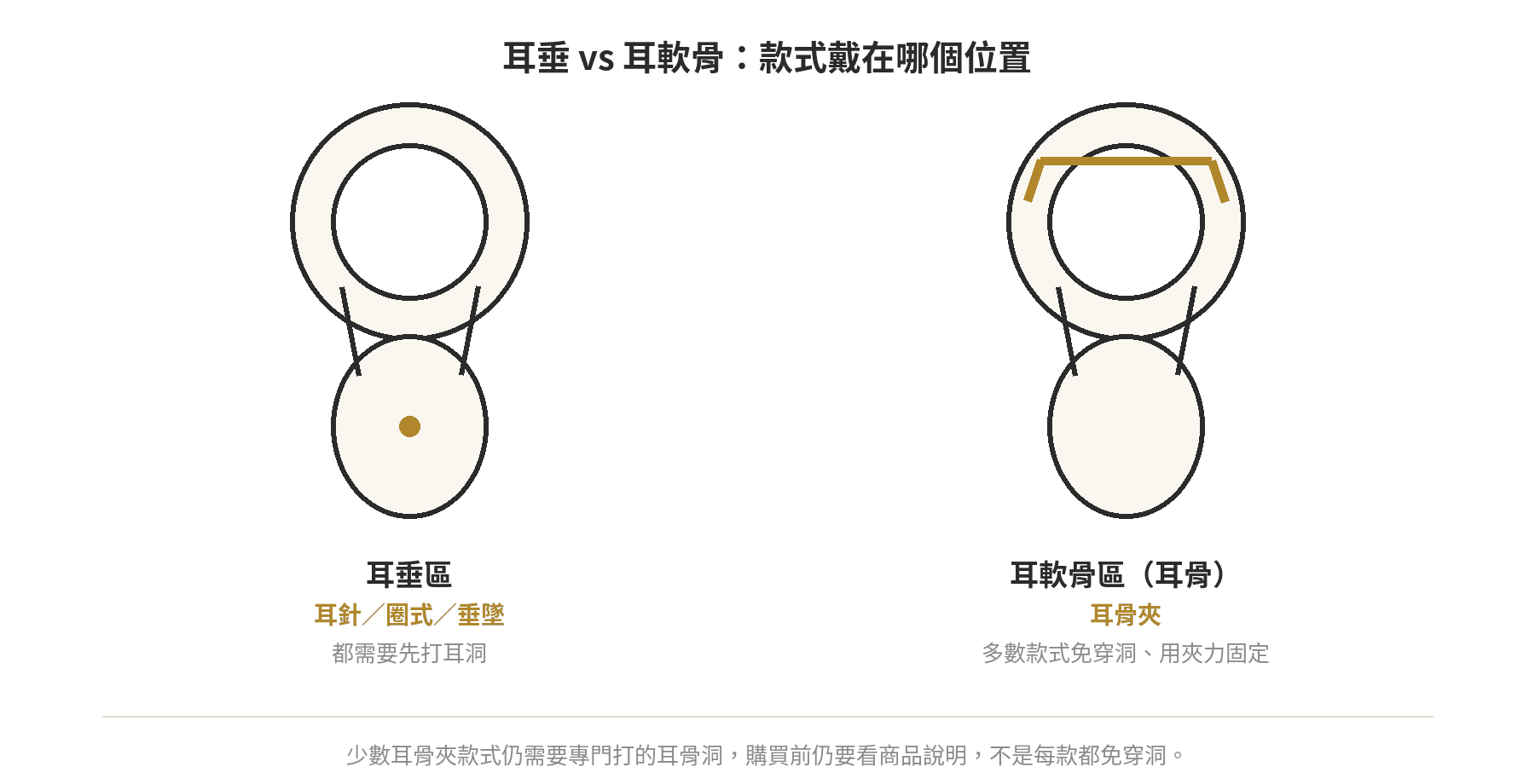 耳垂與耳軟骨兩個佩戴位置示意圖,標示耳針、圈式、垂墜戴在耳垂,耳骨夾戴在耳軟骨外緣