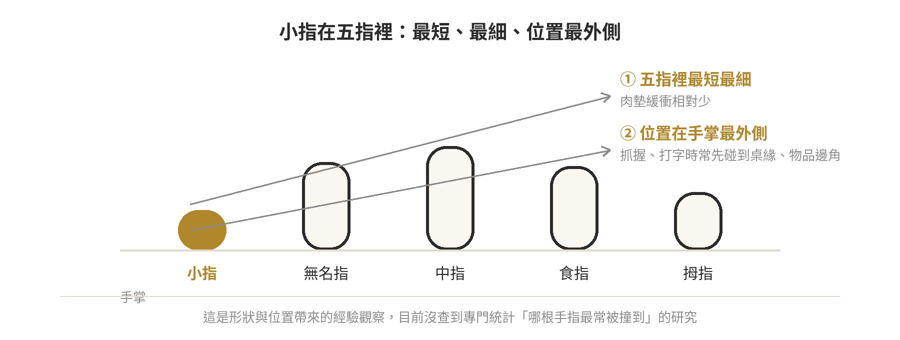 小指在五指裡最短最細、位置最外側示意圖:抓握與打字時常先碰到桌緣或物品邊角